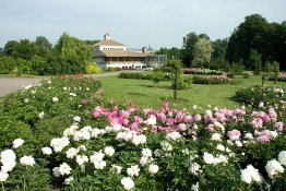 Ogród Botaniczny
