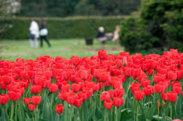 Ogród Botaniczny w Łodzi