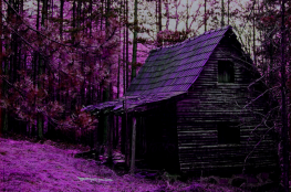 The Cabin in the Woods