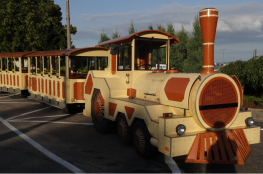 Kolejka Turystyczna Krynica Express