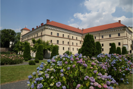 Kraków Atrakcja Muzeum Muzeum Archeologiczne